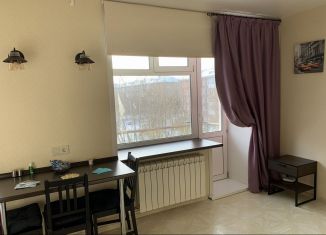 Сдам в аренду 1-комнатную квартиру, 42 м2, Новосибирск, улица Блюхера, 14, Ленинский район