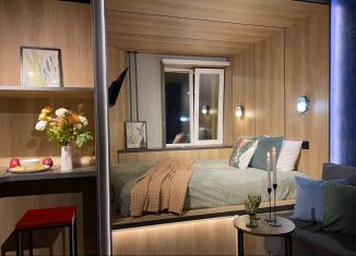 Продажа квартиры студии, 23.9 м2, Санкт-Петербург, муниципальный округ Сампсониевское, Большой Сампсониевский проспект, 74к2