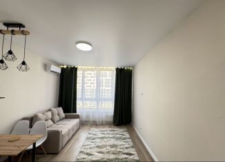 Аренда квартиры студии, 25 м2, Краснодар, микрорайон Черемушки, Обрывная улица, 132/1