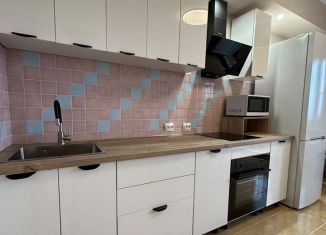 Сдача в аренду 1-ком. квартиры, 53 м2, Краснодар, улица Кубанская Набережная, 31/1, Западный округ