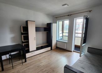 Продаю квартиру студию, 24 м2, Санкт-Петербург, Красносельский район, проспект Ветеранов