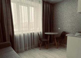 Продается квартира студия, 20 м2, Чебоксары, Эгерский бульвар, 22