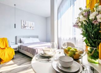 Сдача в аренду квартиры студии, 30 м2, Сочи, Донская улица, 90А, микрорайон Донская