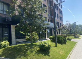 Сдаю однокомнатную квартиру, 34.2 м2, Казань, улица Рауиса Гареева, 105Б