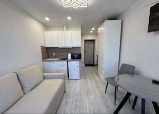 Продается квартира студия, 16.7 м2, Калининград, переулок Желябова, 27