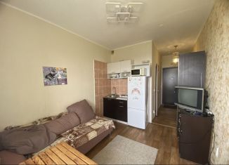 Аренда квартиры студии, 20 м2, деревня Афонино, улица Красная Поляна, 2