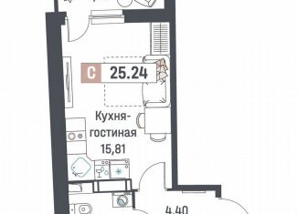 Квартира на продажу студия, 25.2 м2, Мурино, ЖК Авиатор