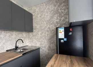 Продаю однокомнатную квартиру, 24.2 м2, Новочебоксарск, улица Винокурова, 36