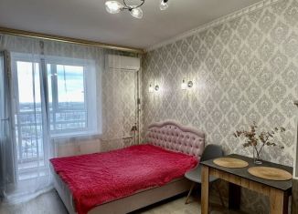 Сдается квартира студия, 26 м2, Санкт-Петербург, Полевая Сабировская улица, 47к2