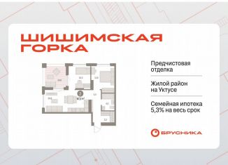 Продаю 2-комнатную квартиру, 67.2 м2, Екатеринбург, метро Чкаловская, Каслинский переулок, 3