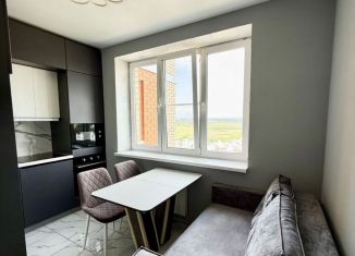 2-ком. квартира на продажу, 43 м2, село Осиновая Гора, Восточная улица, 7