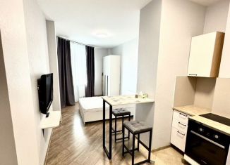 Сдаю в аренду квартиру студию, 25 м2, Санкт-Петербург, улица Орджоникидзе, 52