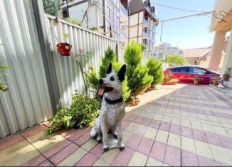 Сдается в аренду дом, 300 м2, Сочи, Мирная улица, 1