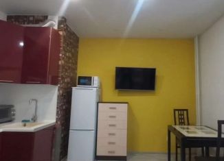 Сдаю в аренду квартиру студию, 22.2 м2, Мурино, Оборонная улица, 37к1