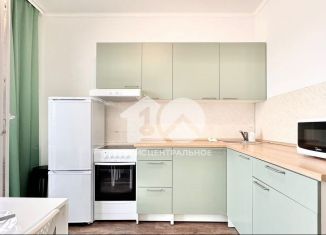 Продажа двухкомнатной квартиры, 59.3 м2, Новосибирск, улица Ясный Берег, 17