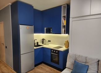 Продам квартиру студию, 26.4 м2, посёлок Парголово, Толубеевский проезд, 8к2