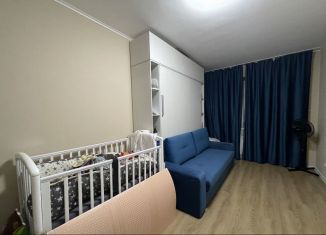 Продам 1-комнатную квартиру, 29.7 м2, Санкт-Петербург, Гудиловская улица, 6к1, муниципальный округ Рыбацкое