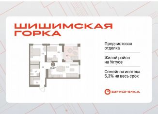 Продаю 2-комнатную квартиру, 65.5 м2, Екатеринбург, метро Чкаловская, Каслинский переулок, 3