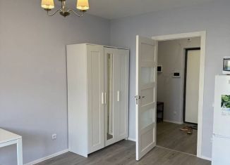 Сдаю квартиру студию, 26.5 м2, Санкт-Петербург, Пулковское шоссе, 42к6