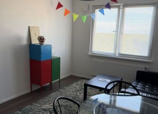 Сдаю в аренду однокомнатную квартиру, 34 м2, Санкт-Петербург, метро Девяткино, Пейзажная улица, 24к3