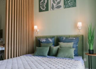 Сдача в аренду квартиры студии, 27 м2, Сочи, улица Искры, 88к2, микрорайон Кудепста