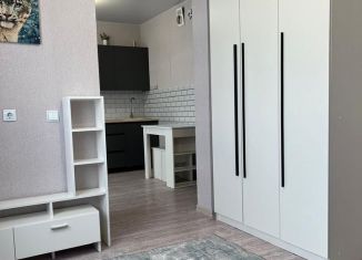 Сдам в аренду многокомнатную квартиру, 27 м2, Ростов-на-Дону, улица Висаитова, 8, ЖК Суворовский