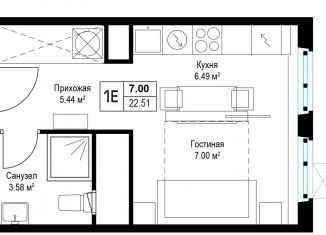 Продам квартиру студию, 22.4 м2, деревня Сапроново, микрорайон Купелинка, 7, ЖК Эко Видное 2.0