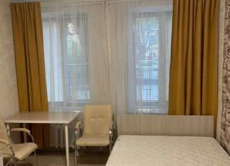 Сдача в аренду квартиры студии, 14 м2, Санкт-Петербург, Гороховая улица, 48, Центральный район