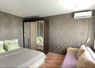 Продается квартира студия, 24.5 м2, Татарстан, Ботаническая улица, 23/31к1