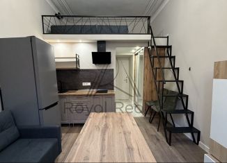 Сдается в аренду квартира студия, 23 м2, Санкт-Петербург, 7-я линия Васильевского острова, 40