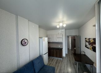 Продается квартира студия, 23 м2, Барнаул, Балтийская улица, 97, ЖК Матрёшки