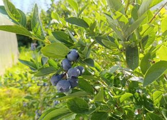 Дом на продажу, 60 м2, Чувашия, улица Мира