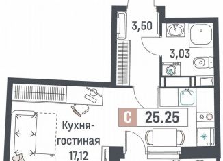 Продается квартира студия, 25.3 м2, Мурино, ЖК Авиатор