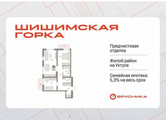 2-ком. квартира на продажу, 70.2 м2, Екатеринбург, метро Чкаловская, Каслинский переулок, 3