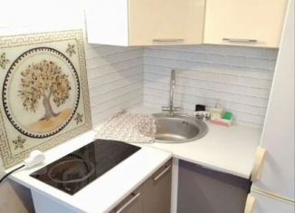 Продается 1-комнатная квартира, 29 м2, посёлок городского типа Петра Дубрава, улица Коммунаров, 6А