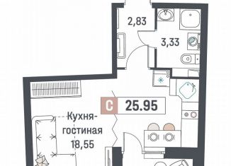 Продам квартиру студию, 26 м2, Мурино, ЖК Авиатор