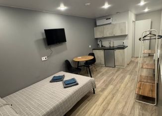 Сдаю квартиру студию, 16 м2, Санкт-Петербург, Боровая улица, 34/24