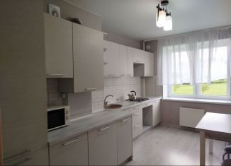 Сдам в аренду 1-комнатную квартиру, 45 м2, Калининград, улица Генерала Челнокова, 44, Ленинградский район