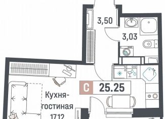 Квартира на продажу студия, 25.3 м2, Мурино, ЖК Авиатор