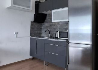 Продаю квартиру студию, 24.3 м2, Санкт-Петербург, Комендантский проспект, 69