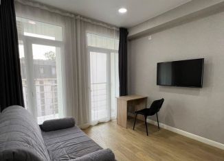 Продается квартира студия, 25 м2, Сочи, Клубничная улица, 62