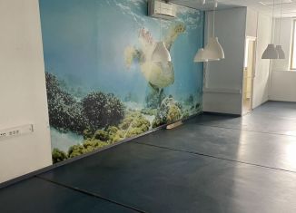 Сдам офис, 208 м2, Москва, Нижняя улица, 14, Нижняя улица