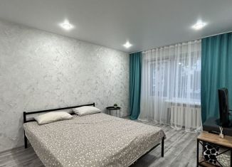 Аренда однокомнатной квартиры, 35 м2, Амурская область, улица 9 Мая, 225