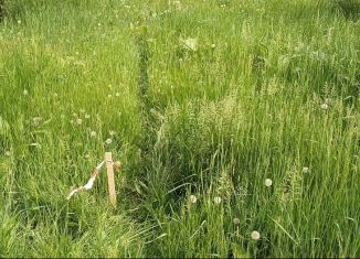 Продаю участок, 10 сот., деревня Гусева