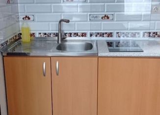 Сдам в аренду таунхаус, 30 м2, село Бестужевское, садоводческое товарищество Луч, уч23