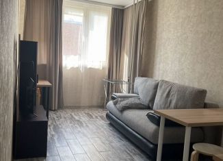 Сдается квартира студия, 27 м2, деревня Бородино, Варшавское шоссе, 71, ЖК Европа