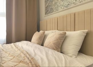 Сдается квартира студия, 26 м2, Республика Башкортостан, улица Менделеева, 137