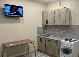 Сдам квартиру студию, 24 м2, Тюмень, улица Новосёлов, 103