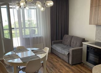 Сдам в аренду 1-ком. квартиру, 50 м2, Казань, улица Хусаина Мавлютова, 17Ек2