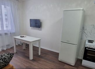 Продам квартиру студию, 26.5 м2, Санкт-Петербург, Красносельский район, улица Лётчика Лихолетова, 14к2